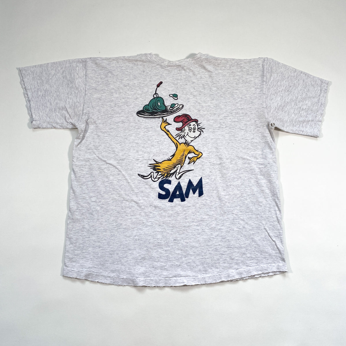 Vintage 1995 Dr Seuss Green Eggs and Ham Sam T-Shirt – CobbleStore
