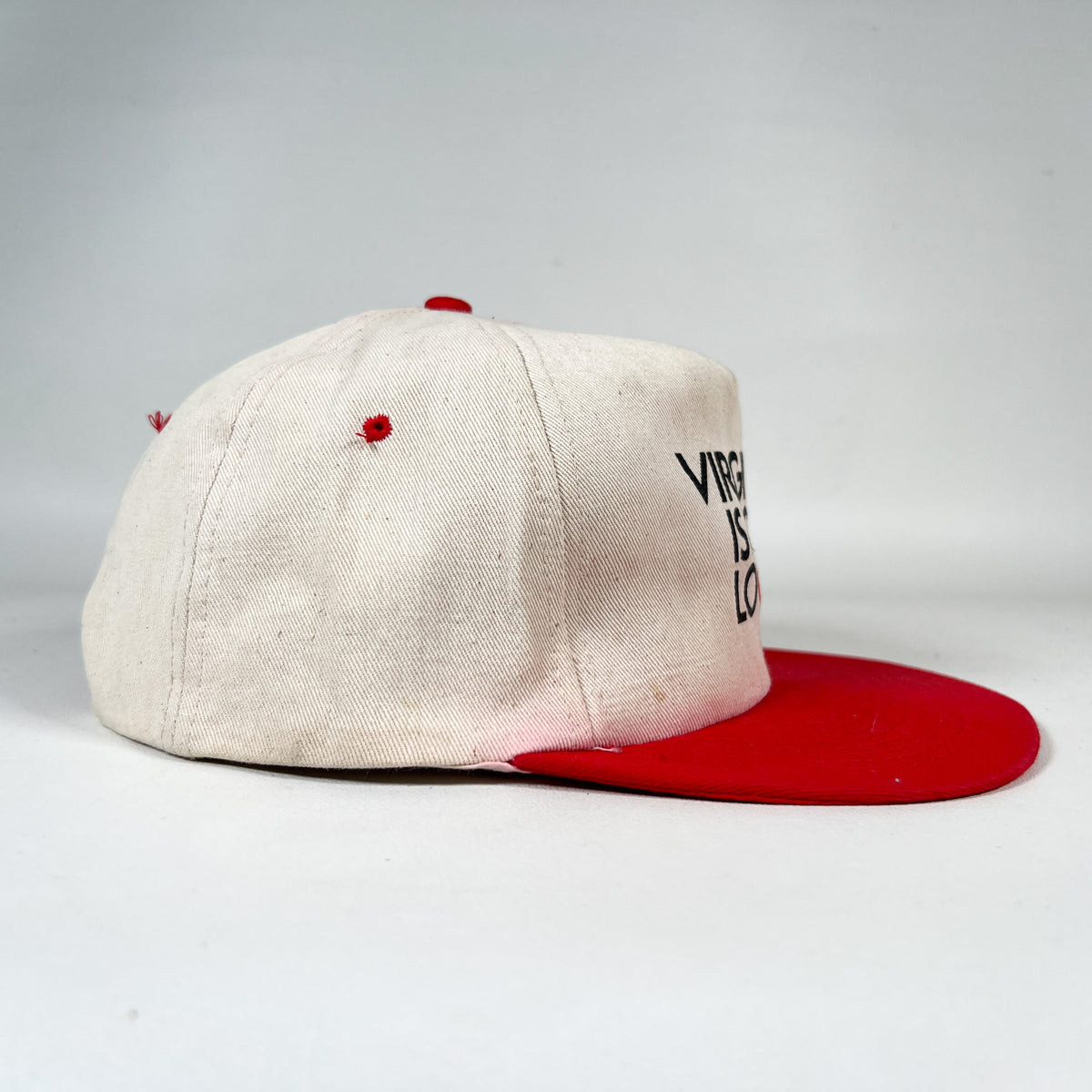 Vintage 90's Virginia Is for Lovers Tourism Snapback Hat