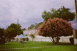 Vintage 90's Olympus Stylus 80 35mm Film Camera