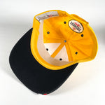 Vintage 90’s Steve Park NASCAR Hat