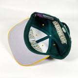 Vintage 90's Green Bay Packers Starter Hat