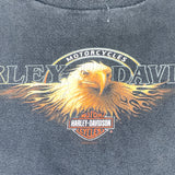 Vintage Y2K Harley Davidson South Africa T-Shirt