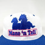 Vintage 90's Mane n' Tail Derrike Cope NASCAR Hat