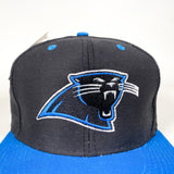 Vintage 90's Carolina Panthers Deadstock Hat