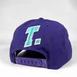 Vintage 90's T. Micheal America Bodybuilding Snapback Hat