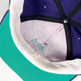 Vintage 90's T. Micheal America Bodybuilding Snapback Hat