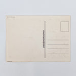 Vintage 1986 Grateful Dead Boreal Ridge Concert Postcard