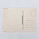 Vintage 1986 Grateful Dead Boreal Ridge Concert Postcard
