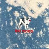 Vintage 2006 Big Dogs Summertime State of Mind Tie Dye T-Shirt