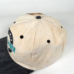 Vintage 90's Virginia Safe & Sober DUI Awareness Snapback Hat