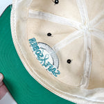 Vintage 90's Virginia Safe & Sober DUI Awareness Snapback Hat
