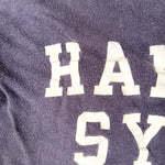 Vintage 60's Hampden-Sydney College Velva Sheen T-Shirt