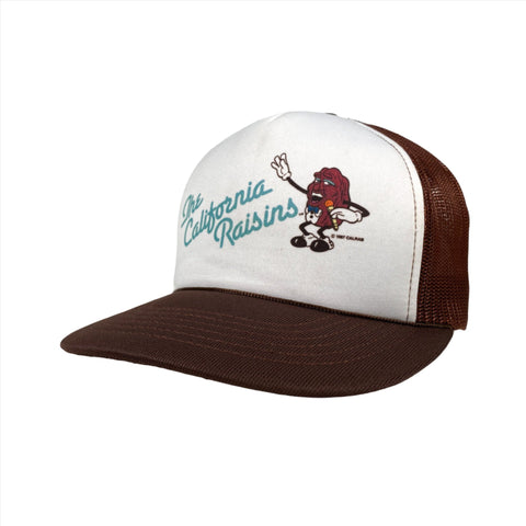 Vintage 1987 California Raisins Trucker Hat
