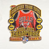 Vintage 1996 Chicago Bulls Champions Starter T-Shirt