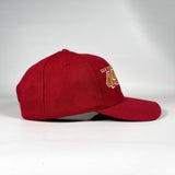 Vintage 90’s San Francisco 49ers Sports Specialties Snapback Hat