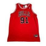 Vintage Y2K Chicago Bulls Dennis Rodman Nike Jersey