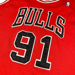 Vintage Y2K Chicago Bulls Dennis Rodman Nike Jersey