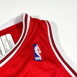 Vintage Y2K Chicago Bulls Dennis Rodman Nike Jersey