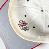 Vintage 90’s Louisville Cardinals Starter Snapback Hat