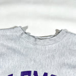 Vintage 90's Clemson Football Champion Reverse Weave Sweatshirt