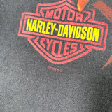 Vintage Y2K Harley Flame Eagle Lafayette IN T-Shirt