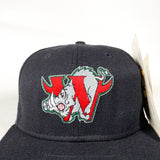 Vintage 90's Winston-Salem Warthogs Hat