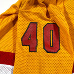 Vintage 90's Ashland Rattlers Hurley #40 Hockey Jersey