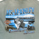 Vintage Y2K Harley Davidson Denali Alaska T-Shirt