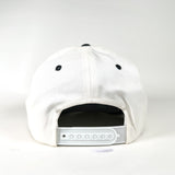 Vintage 90s Duron Paints & Wallcoverings Rainbow Snapback Hat