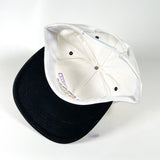 Vintage 90s Duron Paints & Wallcoverings Rainbow Snapback Hat