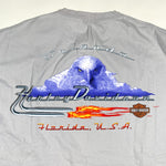 Modern 2007 Harley Davidson Orlando T-Shirt