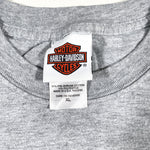 Modern 2006 Harley Davidson Apple T-Shirt