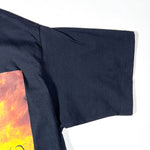Vintage 1994 Eagles and Hell Freezes Over Tour T-Shirt