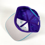 Vintage 90's Charlotte Hornets Hat