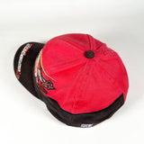 Vintage 90's Taz Tasmanian Devil Team Monte Carlo NASCAR Hat