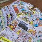 Vintage 1990 Richmond Times Dispatch Comics Umbrella