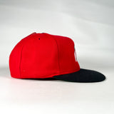 Vintage 90’s Ohio State Buckeyes Snapback Hat