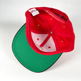 Vintage 90’s Ohio State Buckeyes Snapback Hat