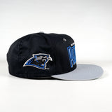 Vintage 90's Carolina Panthers Hat