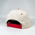 Vintage 90's Virginia Is for Lovers Tourism Snapback Hat