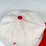 Vintage 90's Virginia Is for Lovers Tourism Snapback Hat