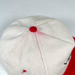Vintage 90's Virginia Is for Lovers Tourism Snapback Hat