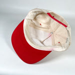 Vintage 90's Virginia Is for Lovers Tourism Snapback Hat
