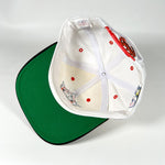 Vintage 1993 MLB All-Star Game Baltimore Orioles Snapback Hat
