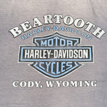 Vintage 90's Beartooth Harley Davidson Wyoming T-Shirt