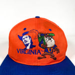 Vintage 90's UVA Taz Looney Tunes Hat