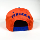 Vintage 90's UVA Taz Looney Tunes Hat