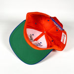 Vintage 90's UVA Taz Looney Tunes Hat