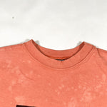 Vintage 2001 Artworks Chameleon Graphic USA Made T-Shirt