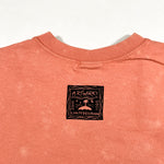 Vintage 2001 Artworks Chameleon Graphic USA Made T-Shirt
